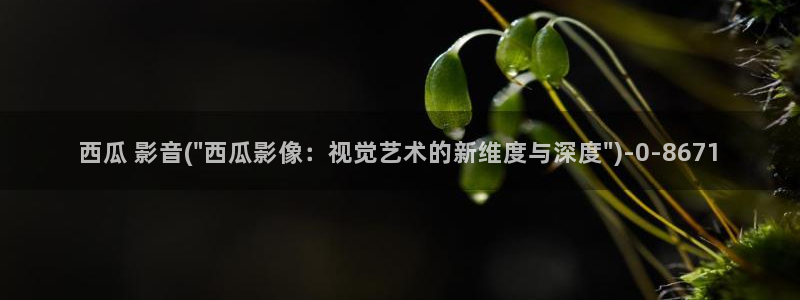 西瓜被窝电影院