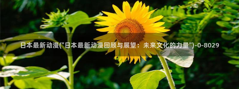 露点动漫：日本最新动漫(\