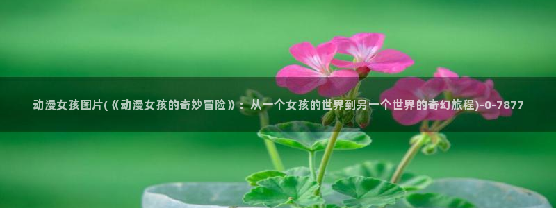内衣办公室动漫