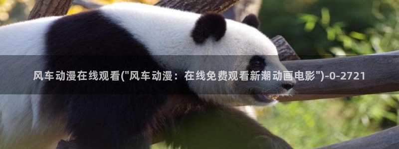 动漫培训