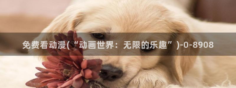 云动漫