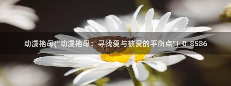 动漫二次元