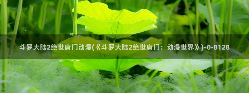 斗罗大陆2绝世唐门动漫