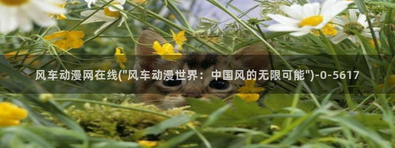遮天动漫