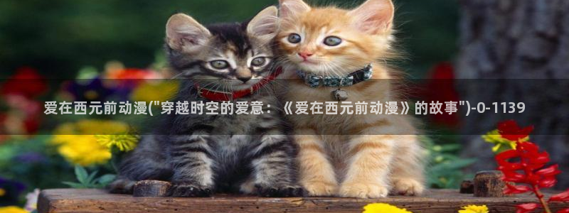 动漫网站